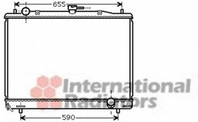 VAN WEZEL 32002193 -  Радиатор, охлаждение двигателя